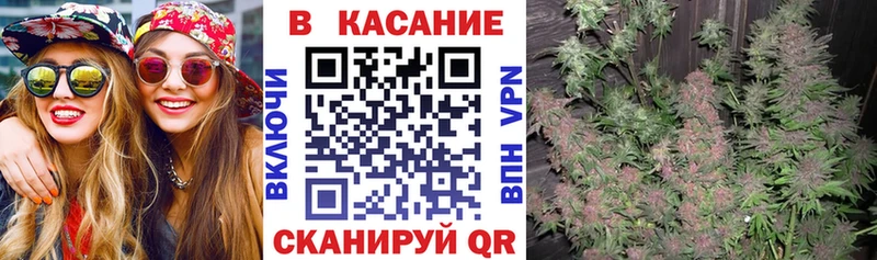 Лсд 25 Черкесск