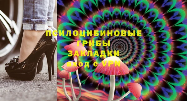 молекула духа Михайлов