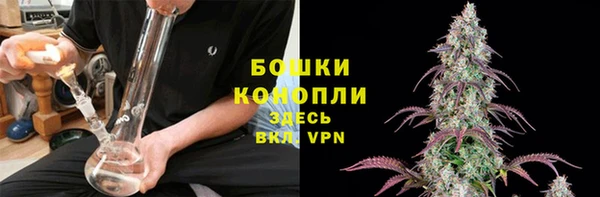 ПСИЛОЦИБИНОВЫЕ ГРИБЫ Медногорск