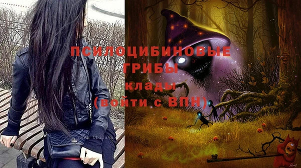ПСИЛОЦИБИНОВЫЕ ГРИБЫ Медногорск