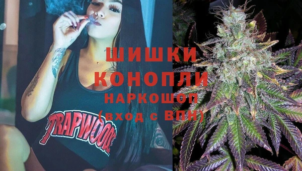 ешки Домодедово