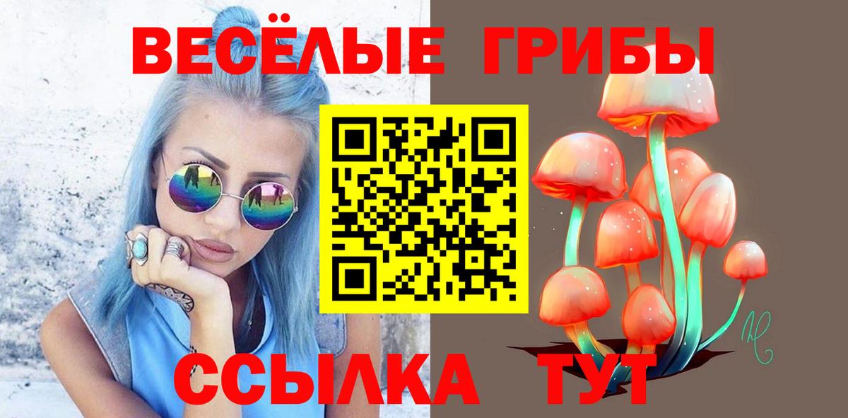 Псилоцибиновые грибы ЛСД Черкесск