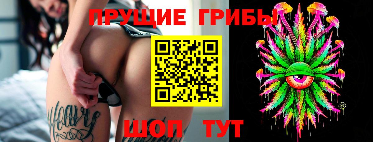 Галлюциногенные грибы Magic Shrooms  Вход с VPN  наркотики  Черкесск  Псилоцибиновые грибы Cubensis 